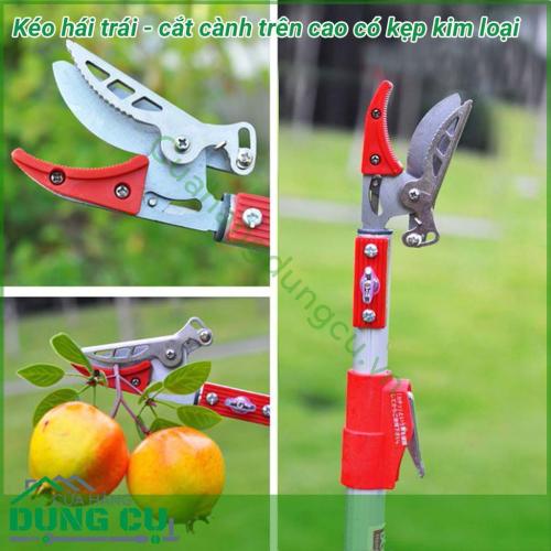 Dụng cụ hái quả – cắt tỉa cành cây trên cao dài 4m là một sản phẩm rất tiện ích đáp ứng được nhu cầu của các nhà vườn không cần phải leo trèo hay kê thang mà vẫn thu hoạch được hoa quả cũng như cắt tỉa những cành không cần thiết rất hiệu quả.