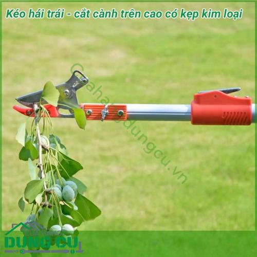 Dụng cụ hái quả – cắt tỉa cành cây trên cao dài 4m là một sản phẩm rất tiện ích đáp ứng được nhu cầu của các nhà vườn không cần phải leo trèo hay kê thang mà vẫn thu hoạch được hoa quả cũng như cắt tỉa những cành không cần thiết rất hiệu quả.