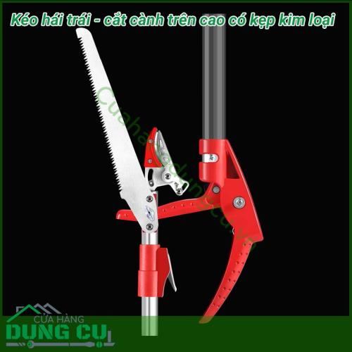 Dụng cụ hái quả – cắt tỉa cành cây trên cao dài 4m là một sản phẩm rất tiện ích đáp ứng được nhu cầu của các nhà vườn không cần phải leo trèo hay kê thang mà vẫn thu hoạch được hoa quả cũng như cắt tỉa những cành không cần thiết rất hiệu quả. 