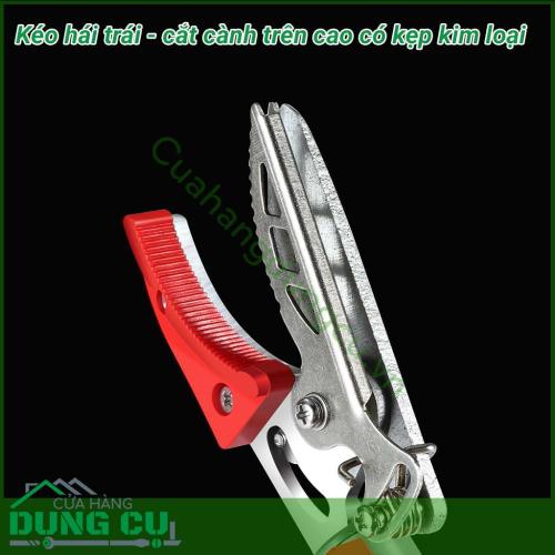 Dụng cụ hái quả – cắt tỉa cành cây trên cao dài 4m là một sản phẩm rất tiện ích đáp ứng được nhu cầu của các nhà vườn không cần phải leo trèo hay kê thang mà vẫn thu hoạch được hoa quả cũng như cắt tỉa những cành không cần thiết rất hiệu quả.