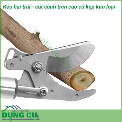 Dụng cụ hái quả – cắt tỉa cành cây trên cao dài 4m là một sản phẩm rất tiện ích đáp ứng được nhu cầu của các nhà vườn không cần phải leo trèo hay kê thang mà vẫn thu hoạch được hoa quả cũng như cắt tỉa những cành không cần thiết rất hiệu quả.