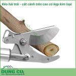 Dụng cụ hái quả – cắt tỉa cành cây trên cao dài 4m là một sản phẩm rất tiện ích đáp ứng được nhu cầu của các nhà vườn không cần phải leo trèo hay kê thang mà vẫn thu hoạch được hoa quả cũng như cắt tỉa những cành không cần thiết rất hiệu quả. 