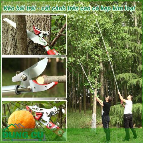Dụng cụ hái quả – cắt tỉa cành cây trên cao dài 4m là một sản phẩm rất tiện ích đáp ứng được nhu cầu của các nhà vườn không cần phải leo trèo hay kê thang mà vẫn thu hoạch được hoa quả cũng như cắt tỉa những cành không cần thiết rất hiệu quả.