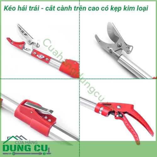 Dụng cụ hái quả – cắt tỉa cành cây trên cao dài 4m là một sản phẩm rất tiện ích đáp ứng được nhu cầu của các nhà vườn không cần phải leo trèo hay kê thang mà vẫn thu hoạch được hoa quả cũng như cắt tỉa những cành không cần thiết rất hiệu quả.