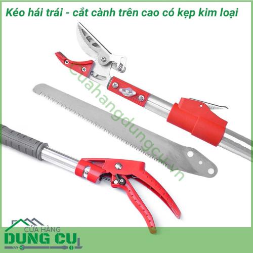 Dụng cụ hái quả – cắt tỉa cành cây trên cao dài 4m là một sản phẩm rất tiện ích đáp ứng được nhu cầu của các nhà vườn không cần phải leo trèo hay kê thang mà vẫn thu hoạch được hoa quả cũng như cắt tỉa những cành không cần thiết rất hiệu quả. 