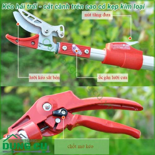 Dụng cụ hái quả – cắt tỉa cành cây trên cao dài 4m là một sản phẩm rất tiện ích đáp ứng được nhu cầu của các nhà vườn không cần phải leo trèo hay kê thang mà vẫn thu hoạch được hoa quả cũng như cắt tỉa những cành không cần thiết rất hiệu quả.
