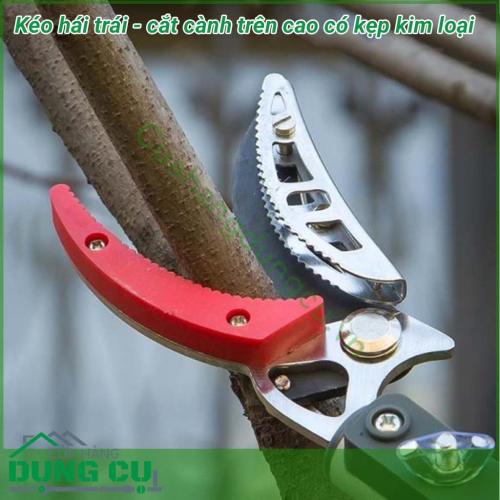 Dụng cụ hái quả – cắt tỉa cành cây trên cao dài 4m là một sản phẩm rất tiện ích đáp ứng được nhu cầu của các nhà vườn không cần phải leo trèo hay kê thang mà vẫn thu hoạch được hoa quả cũng như cắt tỉa những cành không cần thiết rất hiệu quả.