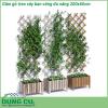 Giàn gỗ treo cây ban công đa năng 200x60cm được làm từ gỗ đã được xử lý tỉ mỉ chịu được mọi yếu tố thời tiết nắng mưa độ bền cao khi sử dụng ngoài trời sản phẩm lại độc đáo khác biệt có thể co giãn gấp gọn dễ dàng phù hợp với không gian của bạn